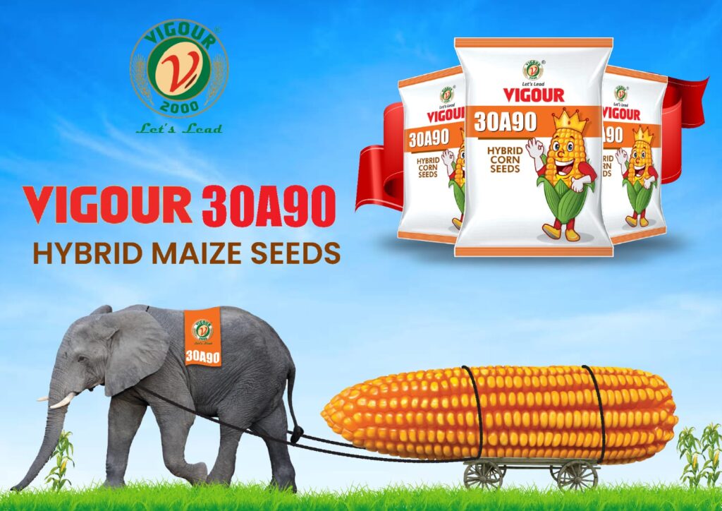 Agritech company branding