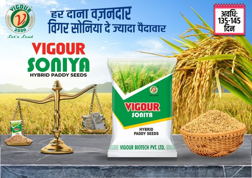 Agritech company branding
